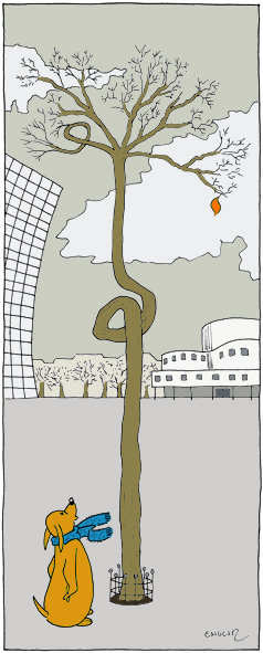 5. Herbst (Schreckensszenario für Laubbläser)